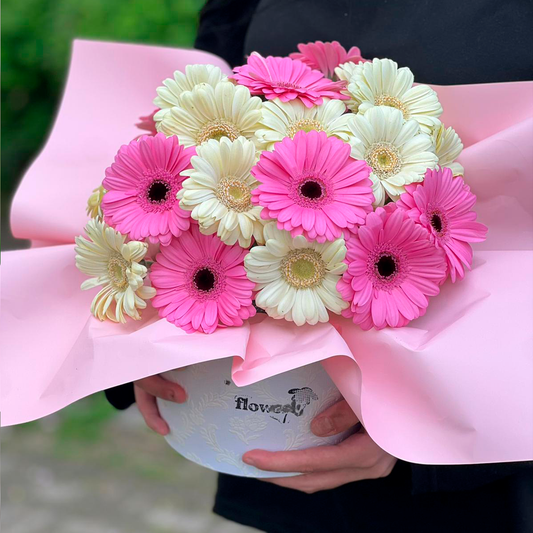 Gerbera Freude Box